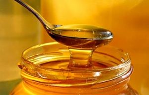 Where to buy High Fructose Corn Syrup at better price with good quality?