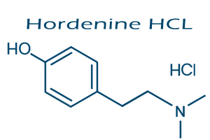 Where to buy Hordenine HCl at better price with good quality?