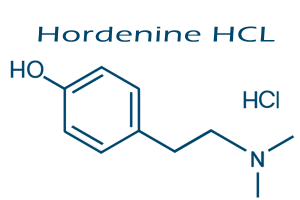 Hordenine HCl