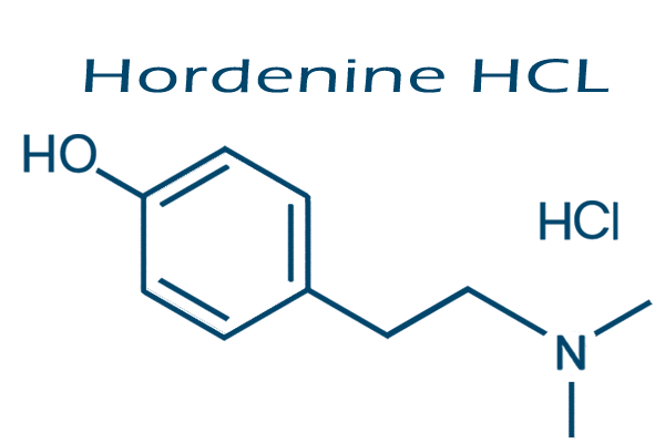 Hordenine HCl Gluten Free