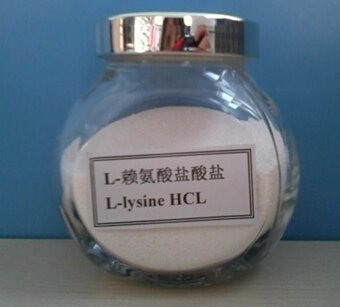 Where to buy L-Lysine Monohydrochloride at better price with good quality?