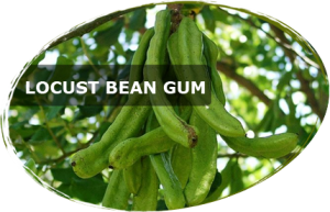 Applications and Uses of Locust Bean Gum