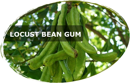 Locust Bean Gum Gluten Free