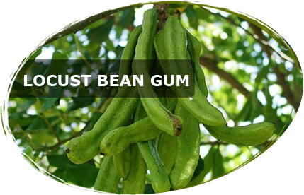 Locust Bean Gum