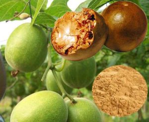 Where to buy Monk Fruit Extract at better price with good quality?