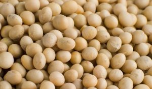 Applications and Uses of Soy Dietary Fiber