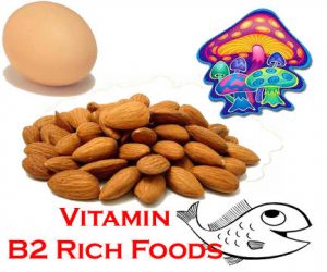 Applications and Uses of Vitamin B2