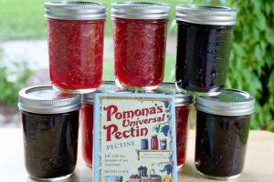 pectin uses application