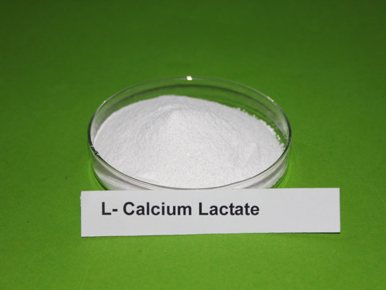 calcium lactate powder supplier