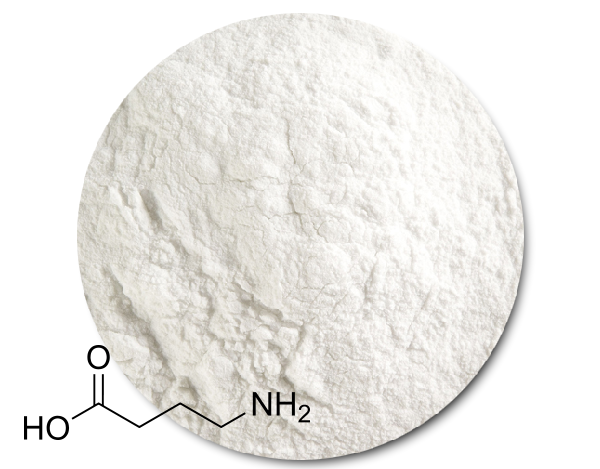 Gamma-Aminobutyric Acid GABA