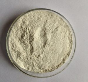 Where to buy Guar Gum at better price with good quality?