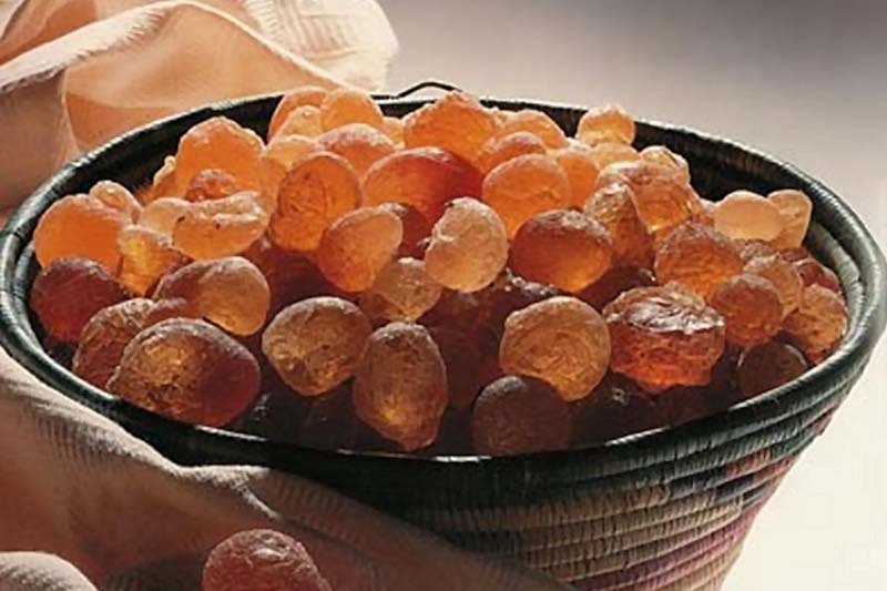 Gum Arabic Gluten Free