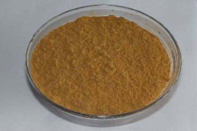 Higenamine HCL
