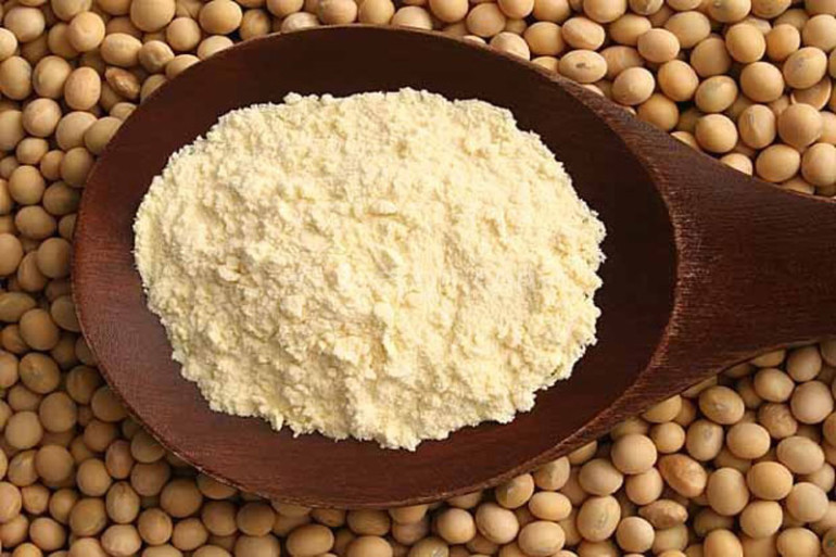 Isolated Soy Protein CAS No. 9010-10-0