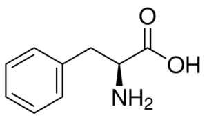 L-PHENYLALANINE