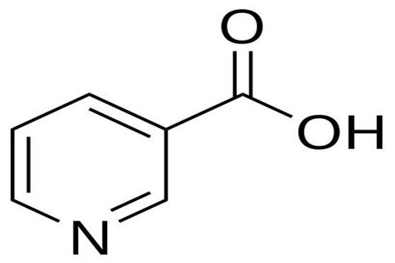 Nicotinic acid/Niacin Gluten Free