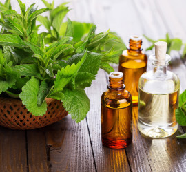 peppermint oil CAS No. 8006-90-4