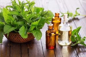Where to buy Peppermint Oil at better price with good quality?