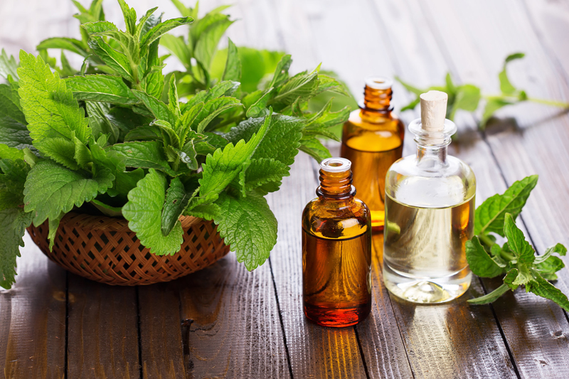 peppermint oil CAS No. 8006-90-4