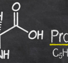 proline-powder