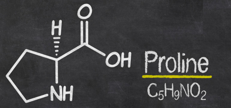 proline-powder