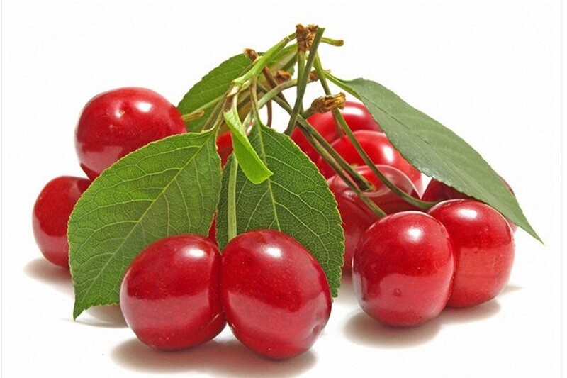 Acerola Cherry Extract packaging