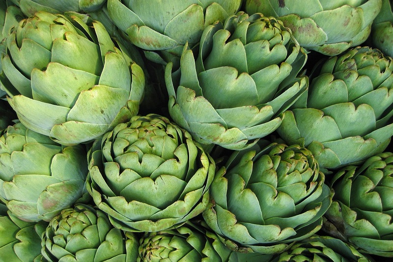 Artichoke Extract packaging