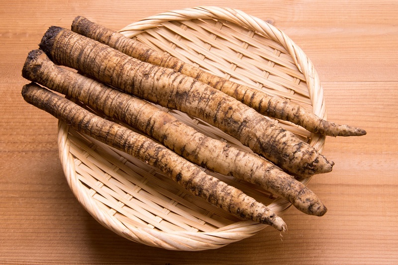 Burdock Root Extract packaging