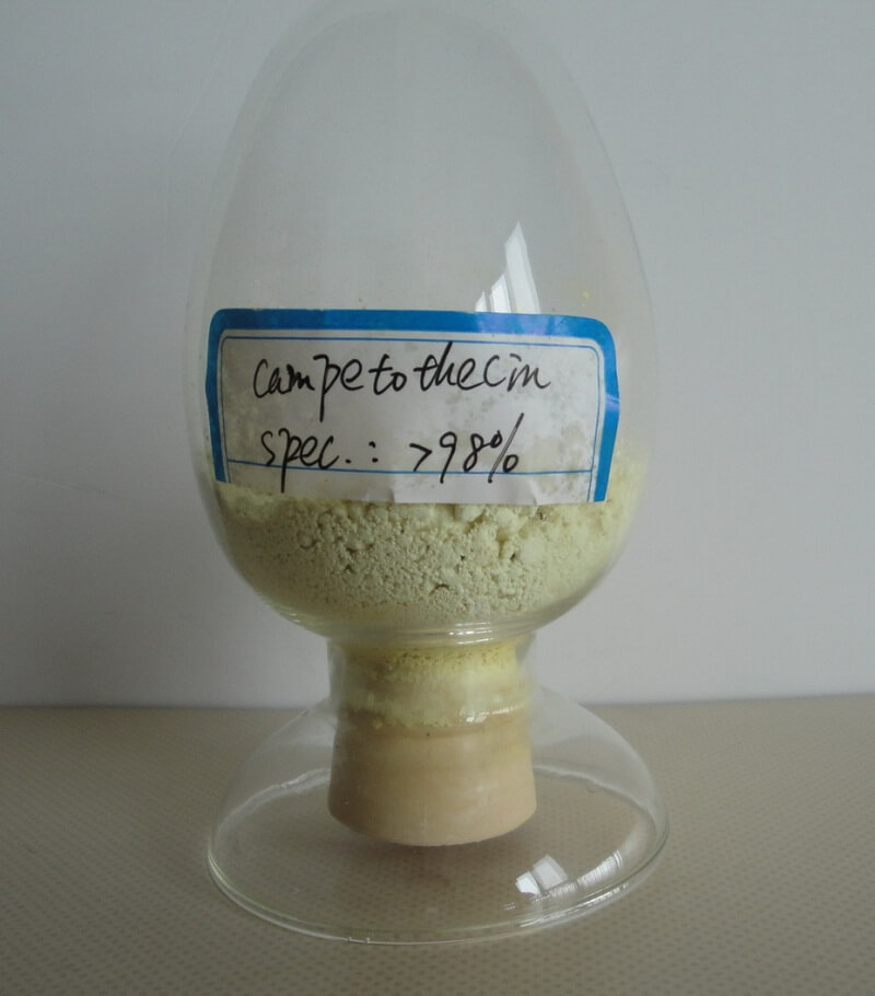 Camptothecin (CPT) packaging