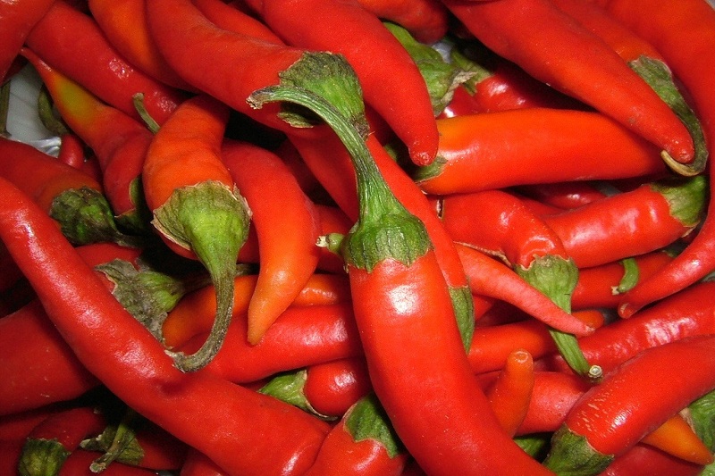 Capsaicin Extract packaging