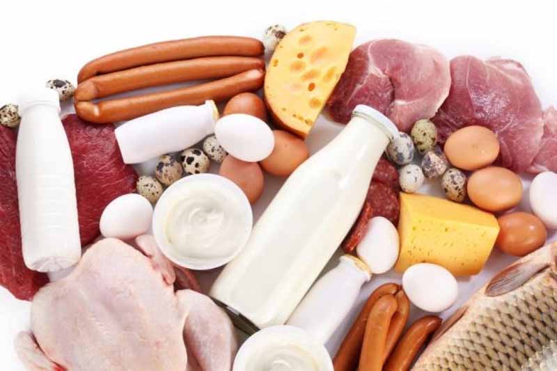 Functional Animal Protein packaging