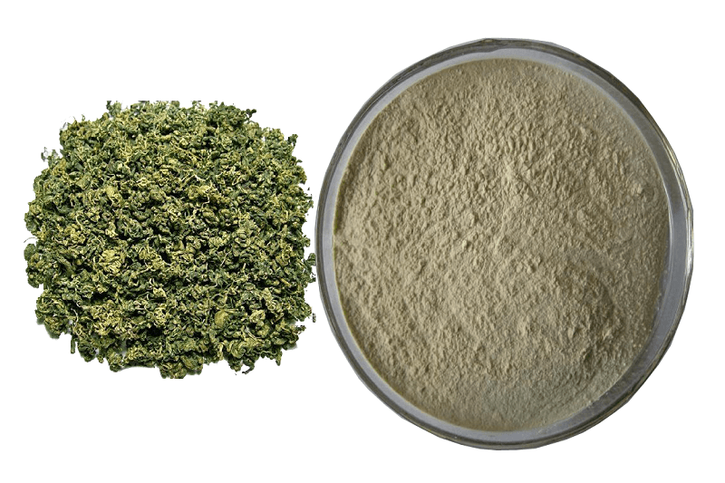 Gypenoside packaging