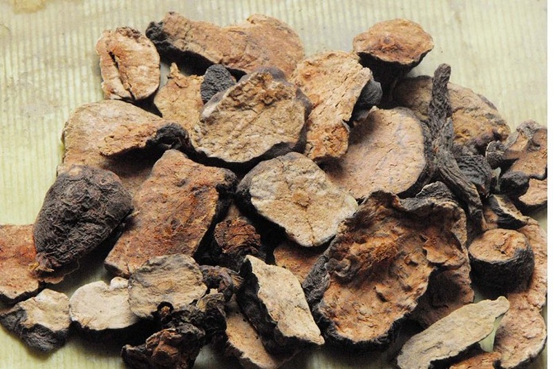 Polygonum Multiflorum Extract packaging