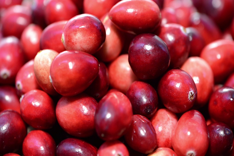 Proanthocyanidins packaging