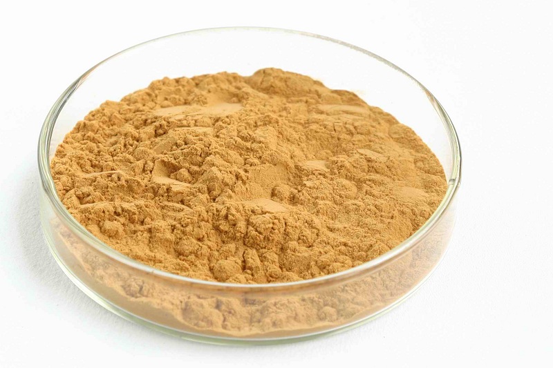 Radix Platycodonis Extract packaging