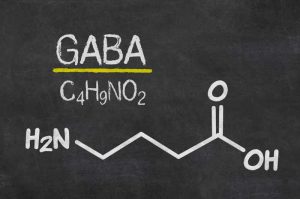 what is Gamma-Aminobutyric Acid