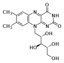 Vitamin B2 Riboflavin and Riboflavin 5′ Phosphate Sodium